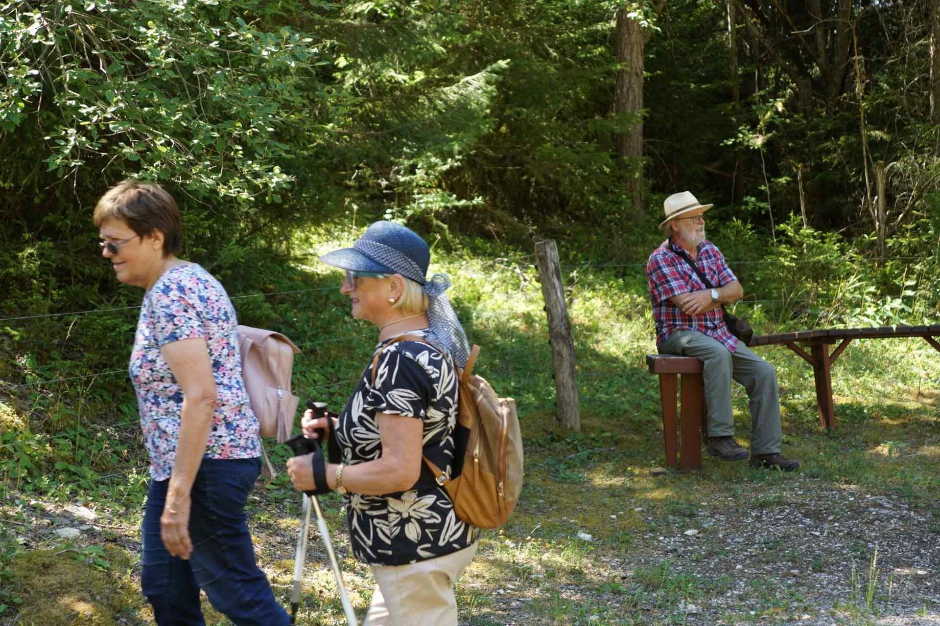 07 Rundwanderung bei Steinweiler